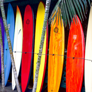 Comment Bien Choisir sa Planche de Surf en Fonction de son Niveau