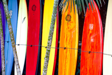 Comment Bien Choisir sa Planche de Surf en Fonction de son Niveau